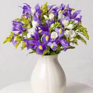 Iris and Freesia