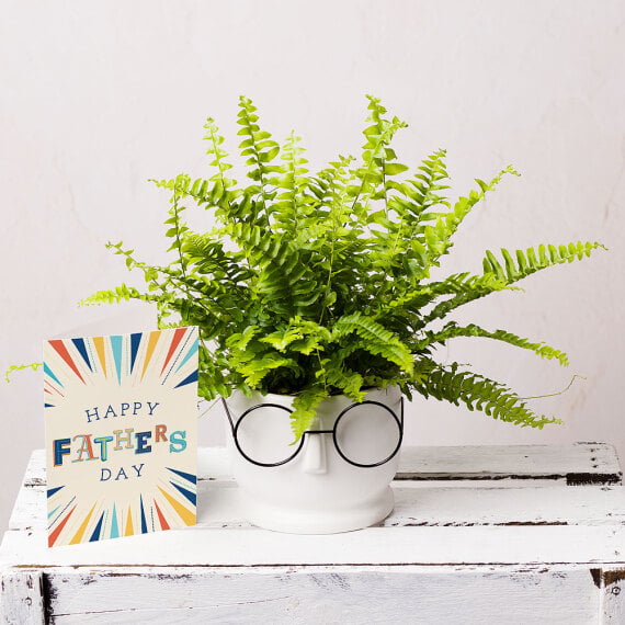 Father's Day Plant Gift